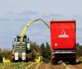 Podnik služeb Daňhel Agro  vyzkoušel při letošní sklizni kukuřice nejnovější Schubmax